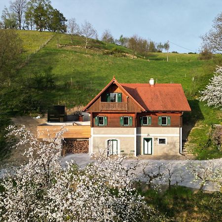 Pettinger Stoeckl Villa Heimschuh Dış mekan fotoğraf