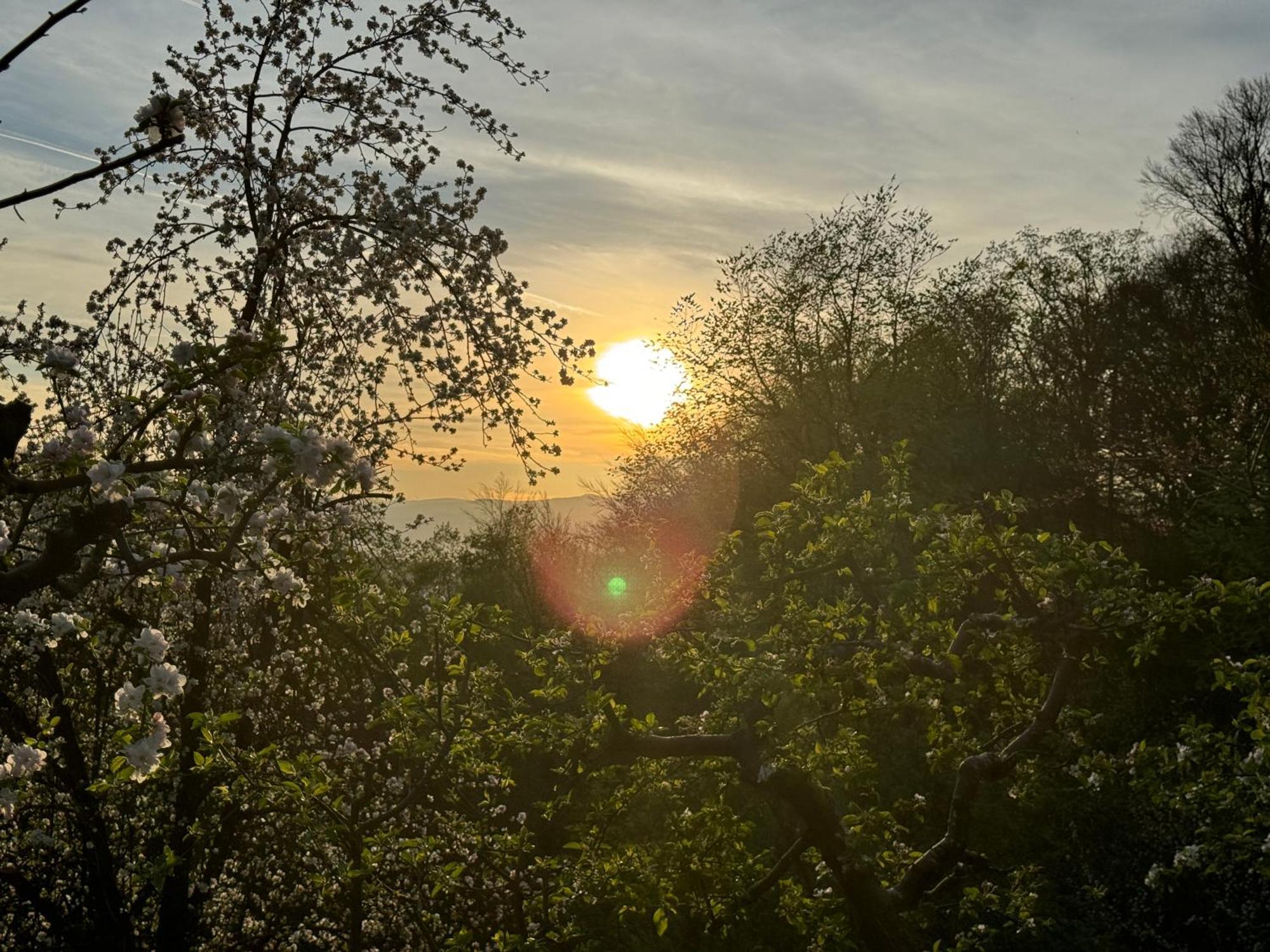 Pettinger Stoeckl Villa Heimschuh Dış mekan fotoğraf